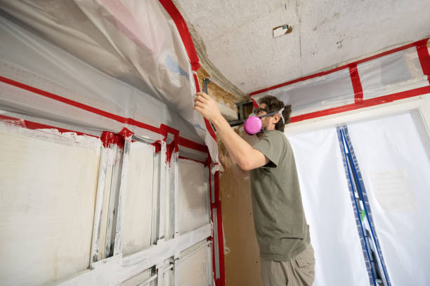 Best Asbestos and Lead Testing During Mold Inspection  in Arvin, CA