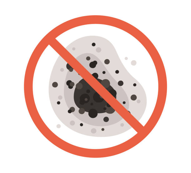 Best Forensic Mold Investigation  in Arvin, CA