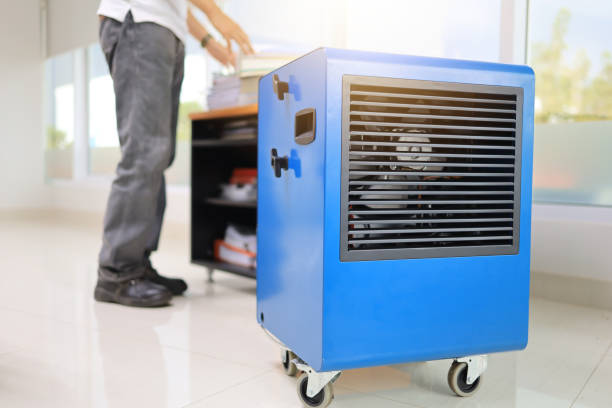 Best Mold-Related Health Consultation  in Arvin, CA
